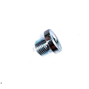 Sealing screw (12G31 / 16G40 / 26G39)