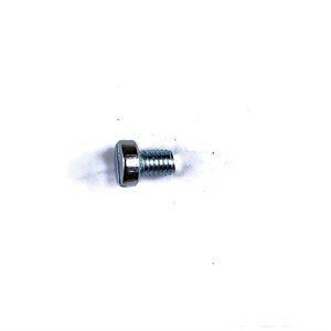 Slotted Cheese Head Screws (32M13)