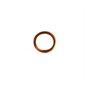Sealing ring (32G20)